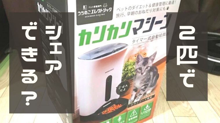 カリカリマシーン 自動給餌器 は多頭飼いでも1台でいける ねこまつげブログ